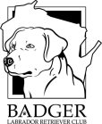 BADGER LABRADOR RETRIEVER CLUB